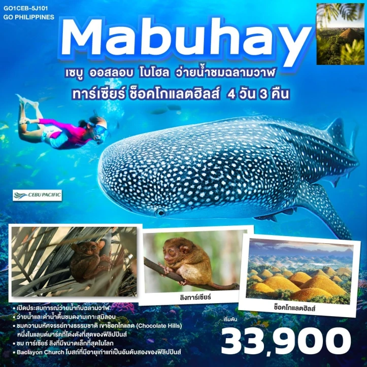 ทัวร์ ฟิลิปินส์ ทัวร์ฟิลิปปินส์ เซบู ออสลอบ โบโฮล ว่ายน้ำกับฉลามวาฬ ทาร์เซียร์ ช็อคโกแลตฮิลส์ 4วัน 3คืน บิน Cebu Pacific (5J)
