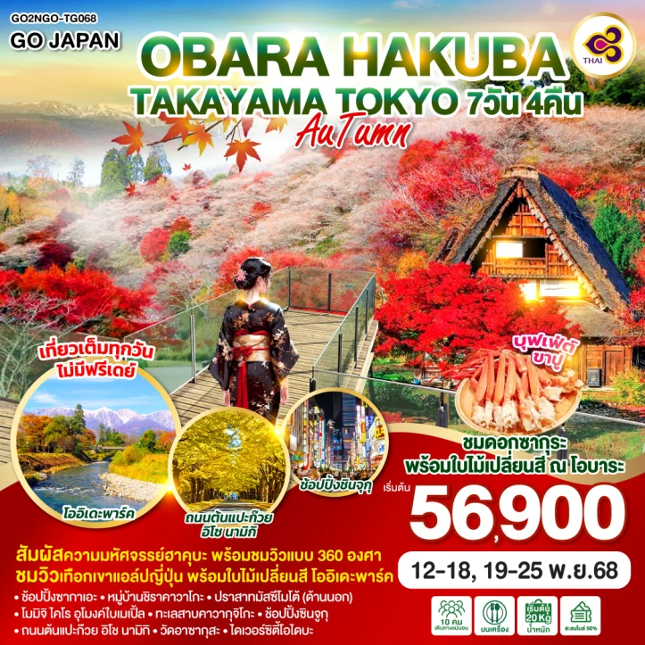 ทัวร์ญี่ปุ่น OBARA HAKUBA TAKAYAMA TOKYO AUTUMN 7วัน 4คืน บิน Thai Airways (TG)