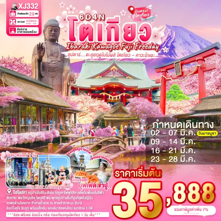 ทัวร์ญี่ปุ่น โตเกียว อิบารากิ คาวาโกเอะ ฟูจิ มีฟรีเดย์ 6วัน 4คืน