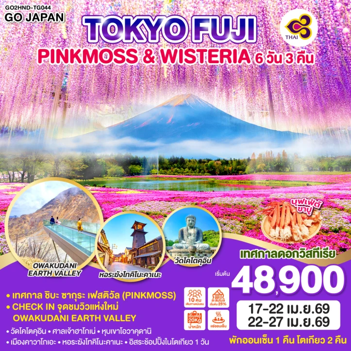 ทัวร์ญี่ปุ่น โตเกียว ฟูจิ PINKMOSS WISTERIA 6วัน 3คืน