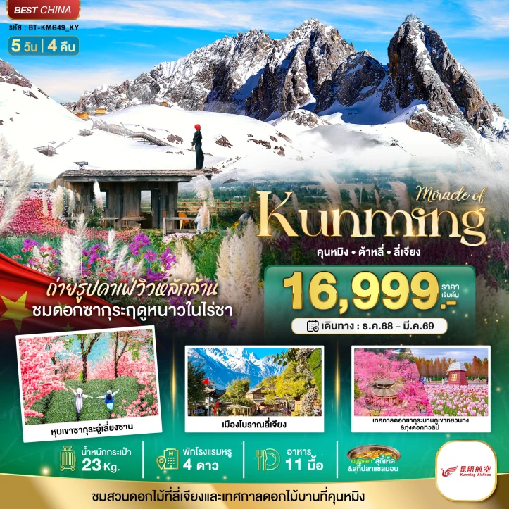 ทัวร์ จีน ทัวร์จีน คุนหมิง ซากุระ ต้าหลี่ ลี่เจียง ภูเขาหิมะมังกรหยก 5 วัน 4 คืน