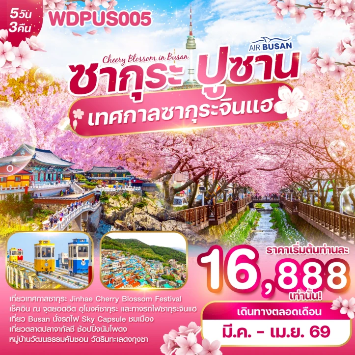 ทัวร์ เกาหลีใต้ ทัวร์เกาหลี ปูซาน เทศกาลซากุระจินแฮ 2026 นั่งรถไฟSky Capsule 5วัน 3คืน