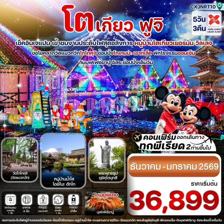 ทัวร์ญี่ปุ่น โตเกียว ฟูจิ งานประดับไฟ มีฟรีเดย์ 5วัน 3คืน