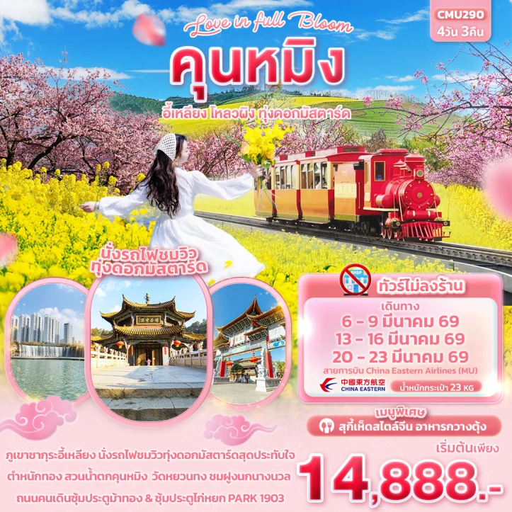ทัวร์ จีน ทัวร์จีน คุนหมิง อี้เหลียง โหลวผิง ทุ่งดอกมัสตาร์ด ไม่ลงร้าน 4วัน 3คืน