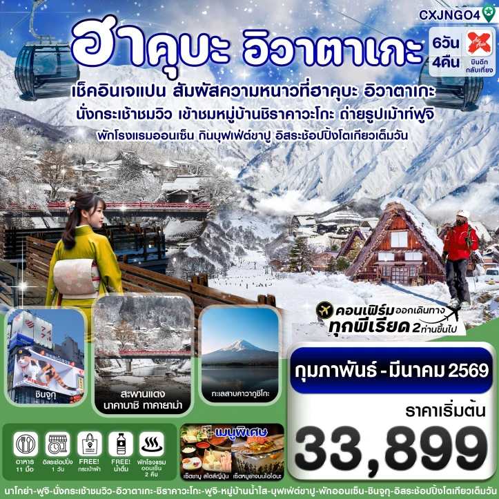 ทัวร์ญี่ปุ่น โตเกียว ฮาคุบะ อิวาตาเกะ ฟูจิ บุฟเฟ่ต์ขาปู พักออนเซ็น 6วัน 4คืน