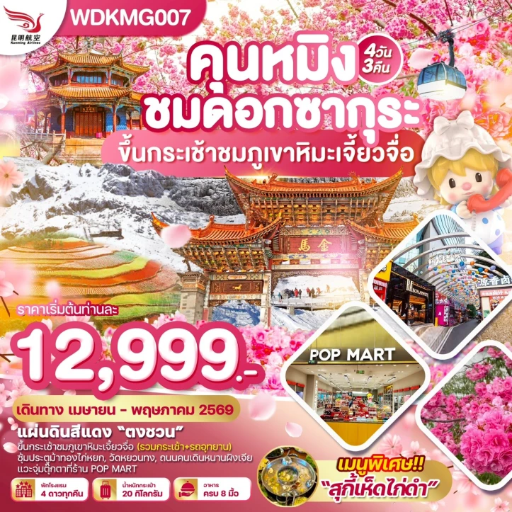 ทัวร์ จีน ทัวร์จีน คุนหมิง ชมดอกซากุระบาน ภูเขาหิมะเจี้ยวจื่อ แผ่นดินสีแดง 4วัน 3คืน