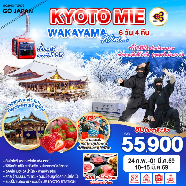 ทัวร์ ญี่ปุ่น ทัวร์ญี่ปุ่น เกียวโต มิเอะ WAKAYAMA WINTER 6วัน 4คืน