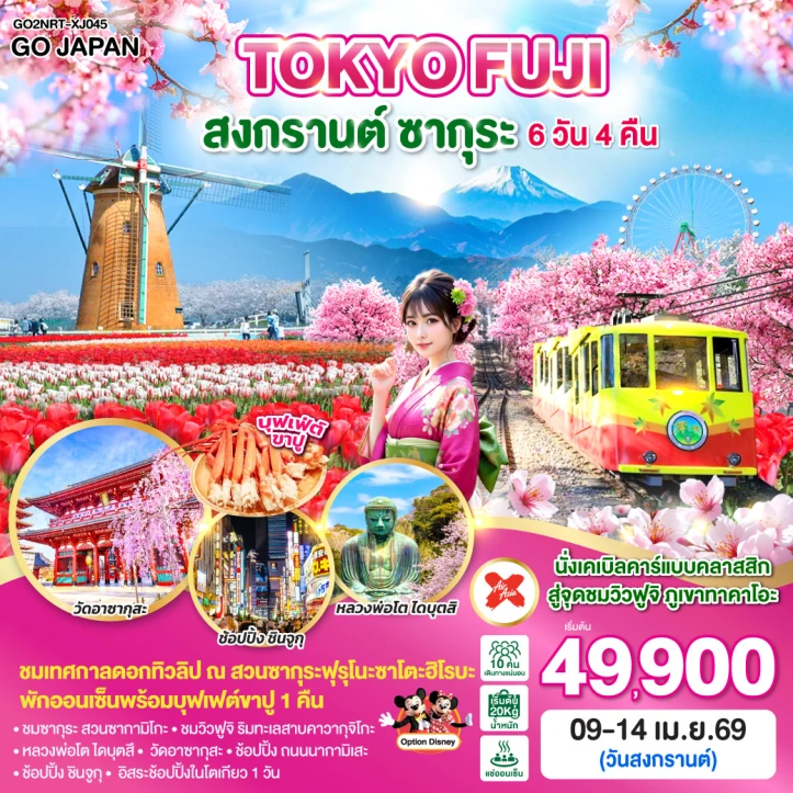 ทัวร์ญี่ปุ่น โตเกียว ฟูจิ สงกรานต์ ซากุระ นั่งเคเบิลคาร์ 6วัน 4คืน
