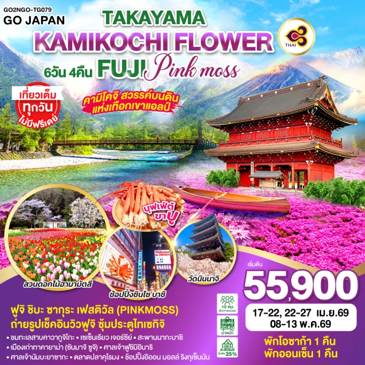 รูปแพ็กเกจทัวร์ ทัวร์ญี่ปุ่น นาโกย่า โอซาก้า ทาคายาม่า คามิโคจิ FLOWER FUJI PINKMOSS 6วัน 4คืน