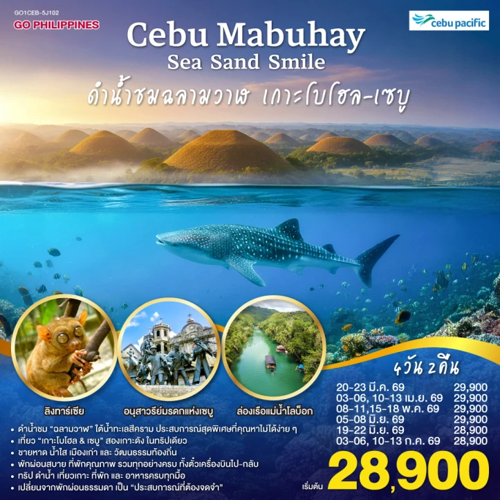 ทัวร์ ฟิลิปินส์ ทัวร์ฟิลิปปินส์ CEBU Mabuhay ดำน้ำชมฉลามวาฬ เกาะโบโฮล 4วัน 2คืน