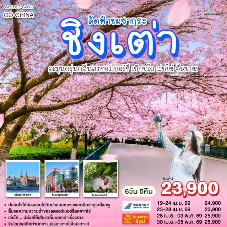 ทัวร์จีน ชิงเต่า ซากุระ ไร่สตรอว์เบอร์รี่ เยียนไถ เว่ยไห่ จี่หนาน 6 วัน 5 คืน