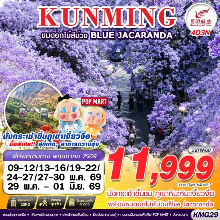 ทัวร์จีน คุนหมิง KUNMING ภูเขาหิมะเจี้ยวจื่อ ดอกไม้สีม่วง Blue Jacaranda 4วัน 3คืน