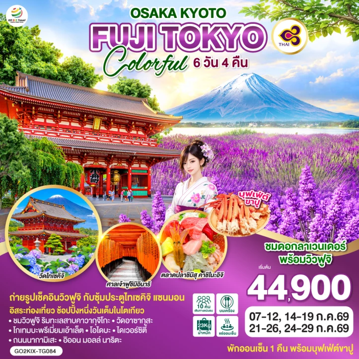 รูปแพ็กเกจทัวร์ ทัวร์ญี่ปุ่น โอซาก้า เกียวโต FUJI โตเกียว COLORFUL 6วัน 4คืน