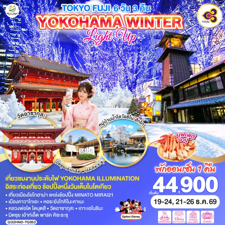 ทัวร์ญี่ปุ่น โตเกียว FUJI YOKOHAMA WINTER LIGHT UP 6วัน 3คืน