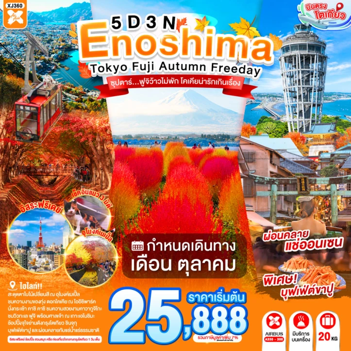 ทัวร์ญี่ปุ่น ENOSHIMA TOKYO FUJI AUTUMN มีฟรีเดย์ 5วัน 3คืน