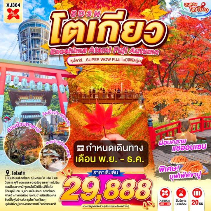 รูปแพ็กเกจทัวร์ ทัวร์ญี่ปุ่น ENOSHIMA ATAMI TOKYO FUJI AUTUMN 5คืน 3คืน