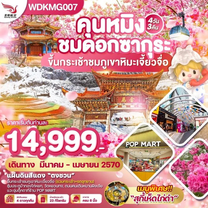 รูปแพ็กเกจทัวร์ ทัวร์จีน คุนหมิง ชมดอกซากุระ ขึ้นกระเช้าชมภูเขาหิมะเจี้ยวจื่อ 4วัน 3คืน