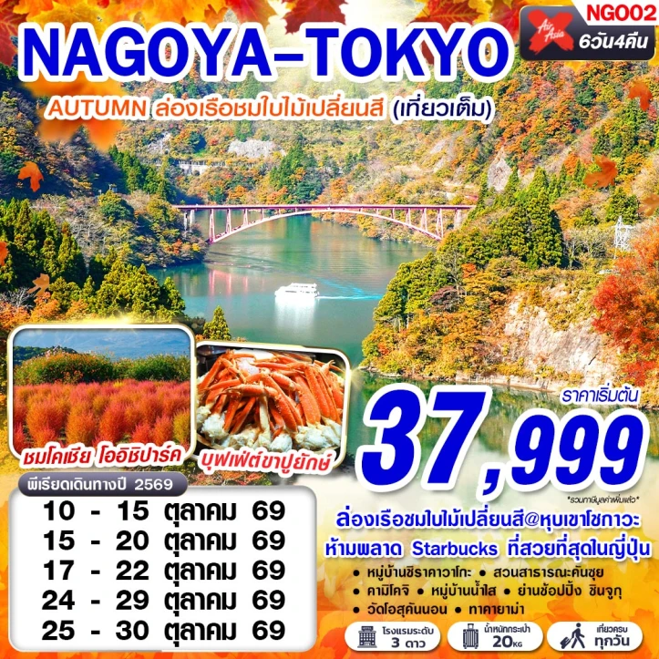 รูปแพ็กเกจทัวร์ ทัวร์ญี่ปุ่น นาโกย่า โตเกียว AUTUMN ล่องเรือชมใบไม้เปลี่ยนสีหุบเขาโชกาวะ 6วัน 4คืน