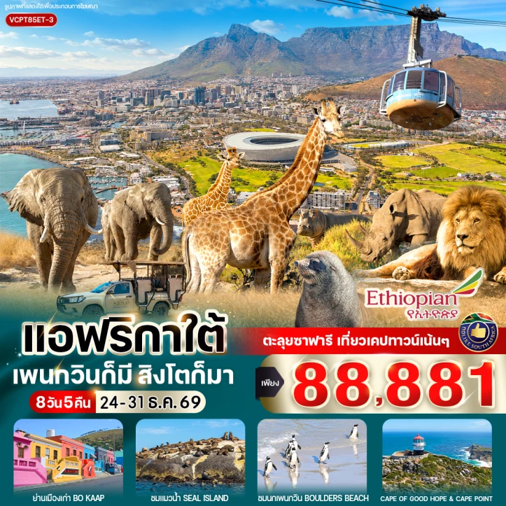 ทัวร์แอฟริกาใต้ นั่งรถซาฟารี 4x4 ส่องสัตว์ป่า ย่านเมืองเก่า Bo Kaap 8วัน 5คืน