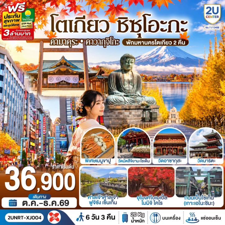 ทัวร์ญี่ปุ่น โตเกียว ชิซุโอะกะ คามาคุระ คาวากุจิโกะ (พักโตเกียว 2 คืน) 6 วัน 3 คืน
