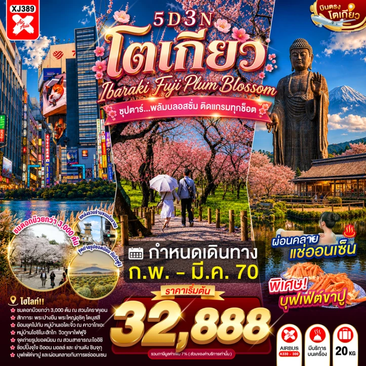 รูปแพ็กเกจทัวร์ ทัวร์ญี่ปุ่น TOKYO IBARAKI FUJI PLUM BLOSSOM 5วัน 3คืน