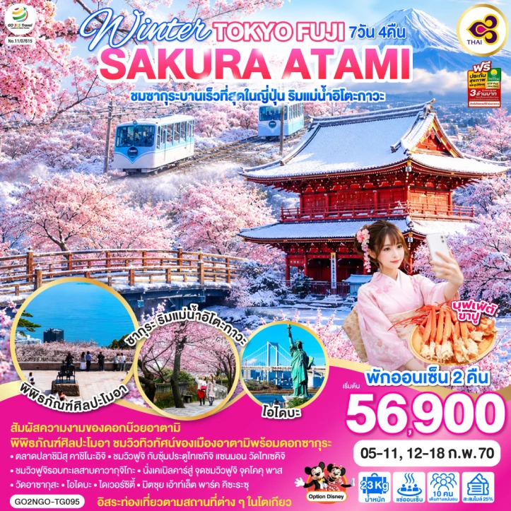ทัวร์ญี่ปุ่น WINTER TOKYO FUJI CHERRY BLOSSOM ATAMI 7วัน 4คืน