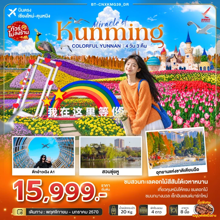 ทัวร์ จีน ทัวร์จีน คุนหมิง บินตรงเชียงใหม่ Colorful Yunnan อุทยานแห่งชาติเตียนฉือ 4วัน 3คืน